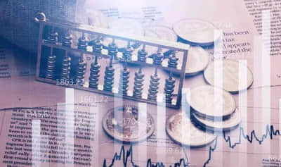 金发拉比(002762):2024年第一次临时股东大会决议