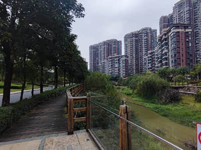 消费市场热度攀升 政策助推燃旺“消费促进年”