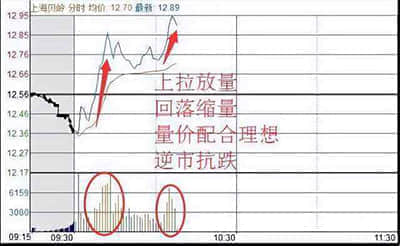 裕兴股份(300305):使用募集资金置换预先投入募投项目及已支付发行费用的自筹资金的鉴证报告