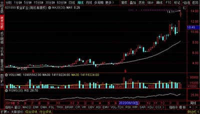 控股股东所持9%股份拍卖在即 西藏珠峰或将“易主”