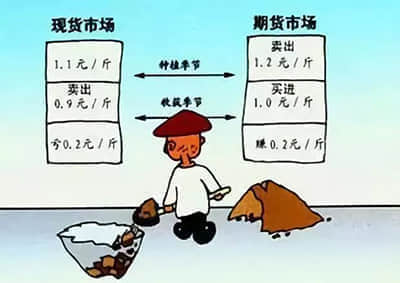 美联储理事：今年有望降息 但应谨慎行事 不可操之过急