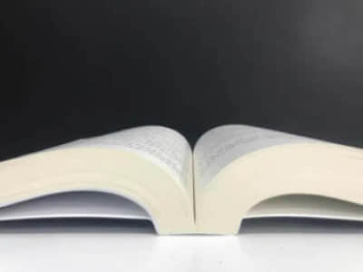 [停牌]21宝龙02 (175995): 上海宝龙实业发展(集团)有限公司关于相关债券停牌